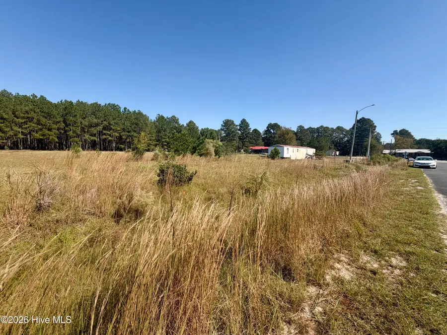50 Maple Leaf Drive, Saint Pauls, NC 28384 - #2