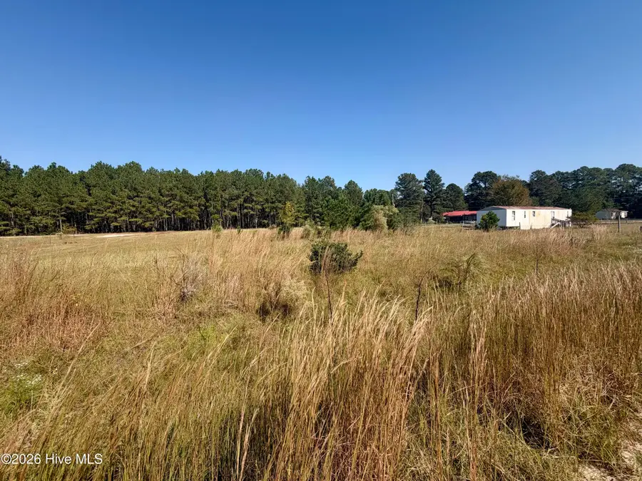 50 Maple Leaf Drive, Saint Pauls, NC 28384 - #3