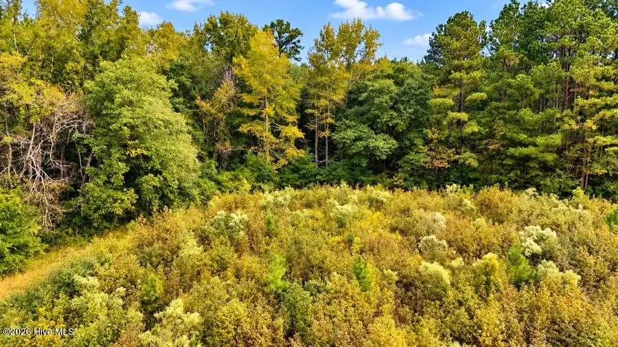 0 Usher Road, Saint Pauls, NC 28384 - #3