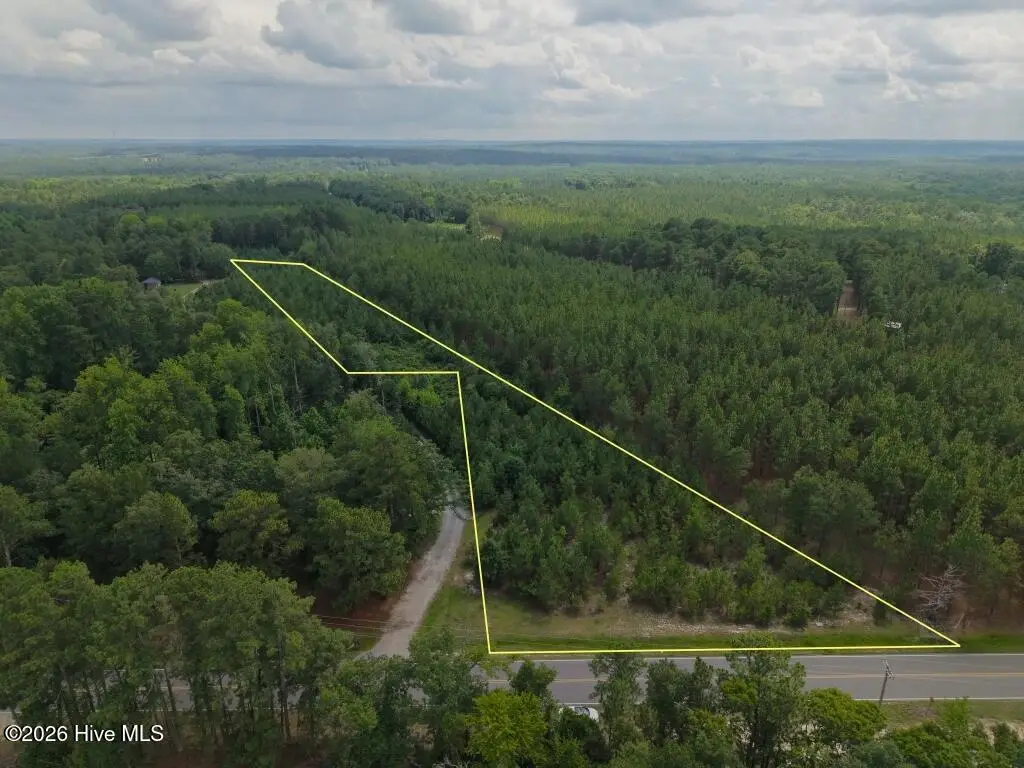 1581 Doubs Chapel Road, West End, NC 27376 - #1