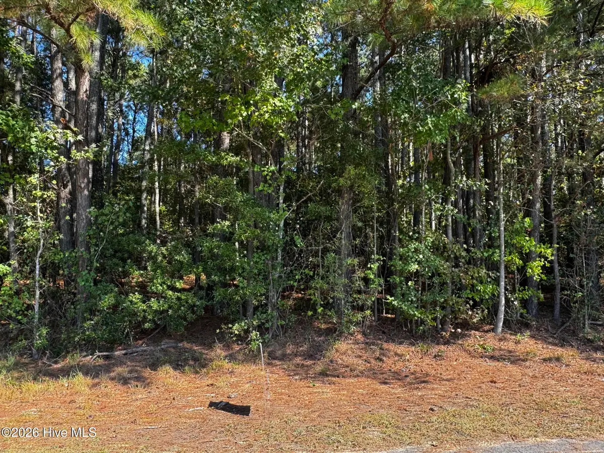 20 Deer Track Drive, Clinton, NC 28328 - #1