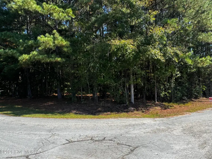 20 Deer Track Drive, Clinton, NC 28328 - #2