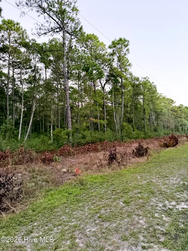 1603 Breezeway Drive Sw, Ocean Isle Beach, NC 28469