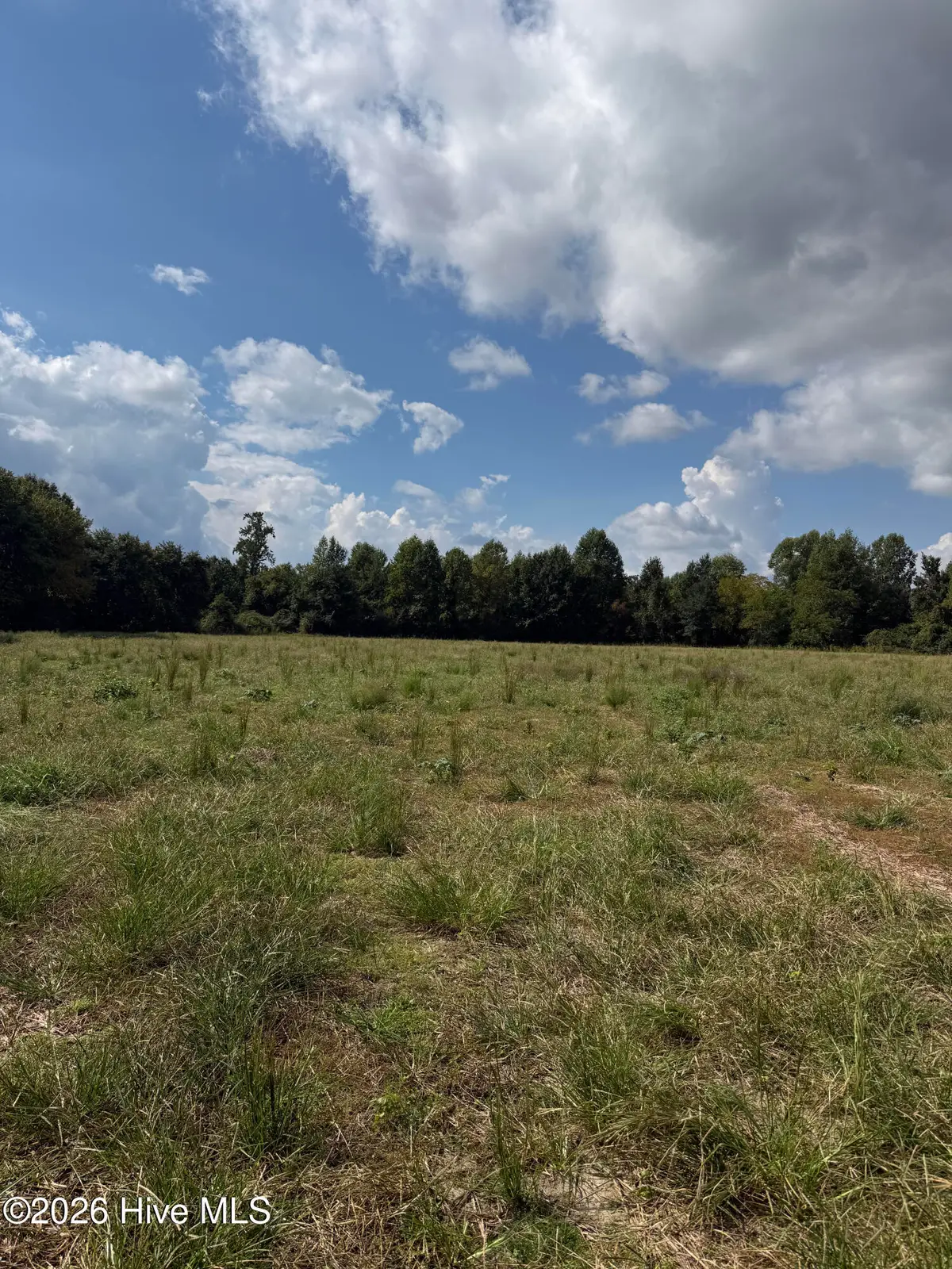 Parcel C Haywood Smith Road, Hertford, NC 27944 - #1
