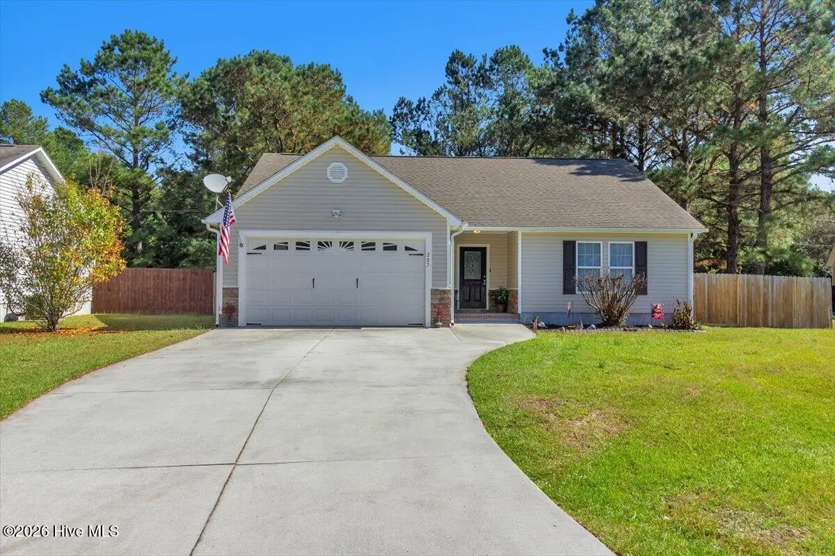 207 Demetrius Court, Hubert, NC 28539 - #1