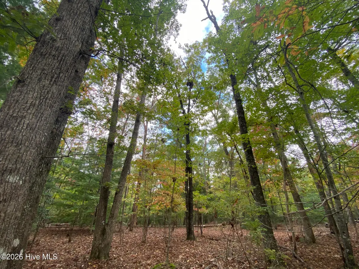 14 Mission Ridge, Hayesville, NC 28904 - #1