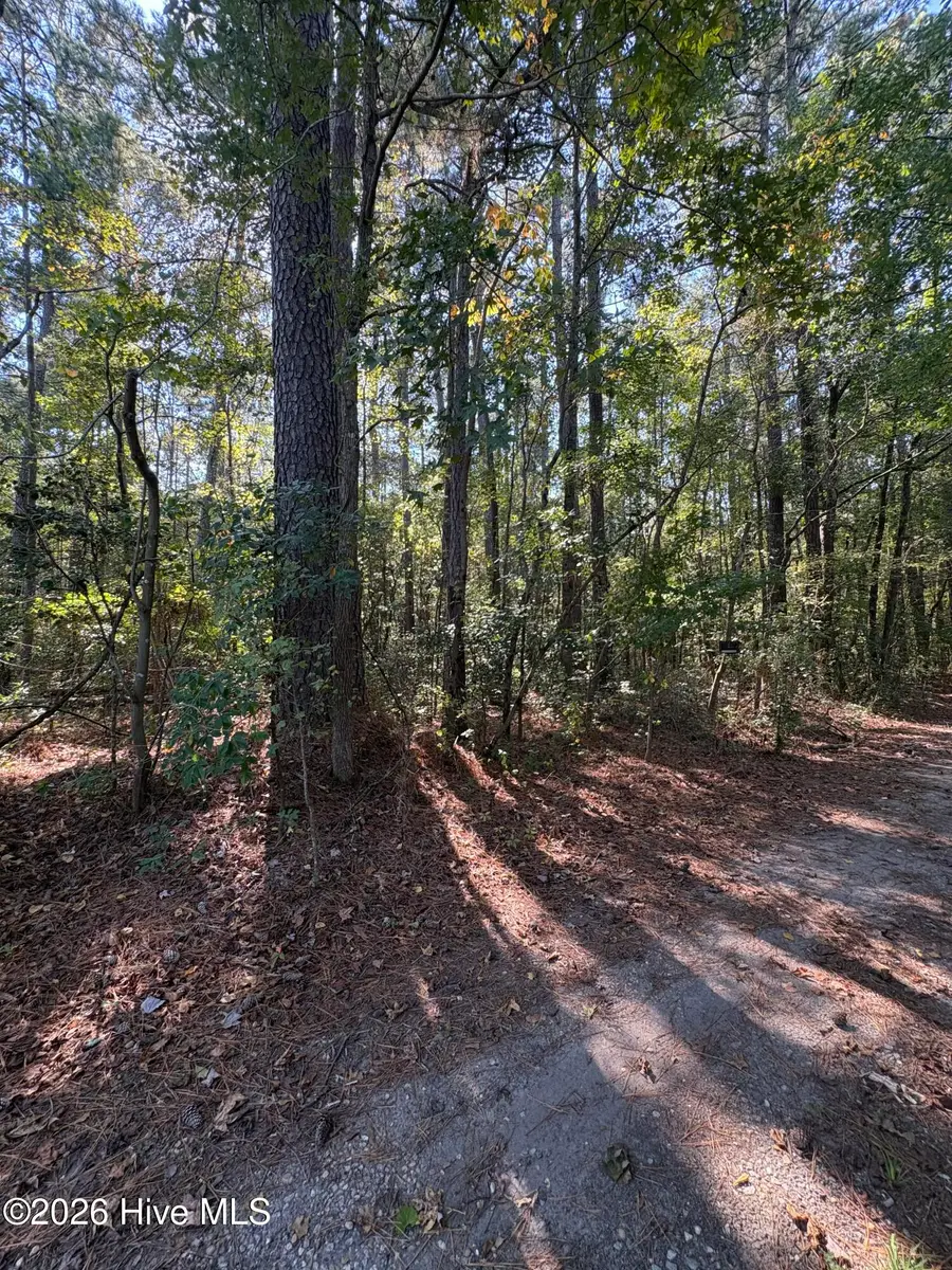 16 Old Tar, Winterville, NC 28590 - #3