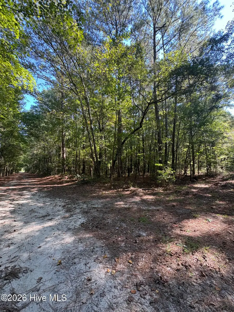 17 Old Tar Road, Winterville, NC 28590 - #2