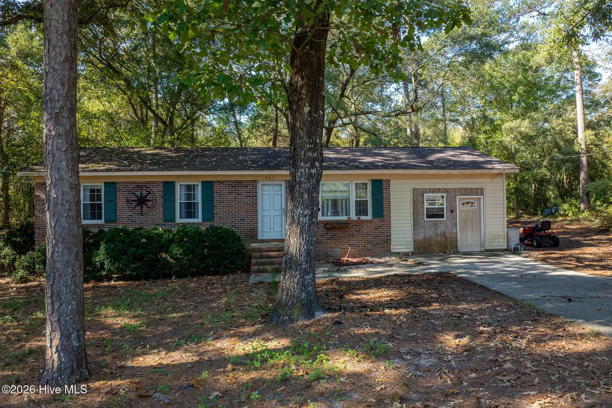 245 Tracy Brown Road, Magnolia, NC 28453 - #1
