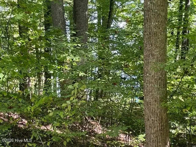 00 Rocky Branch Overlook, Topton, NC 28781 - #1