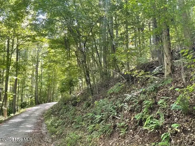 00 Rocky Branch Overlook, Topton, NC 28781 - #2
