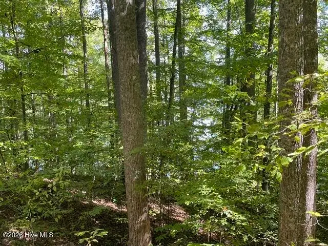 00 Rocky Branch Overlook, Topton, NC 28781 - #3