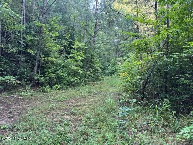 3 Tyler Lane, Marble, NC 28905 - #3