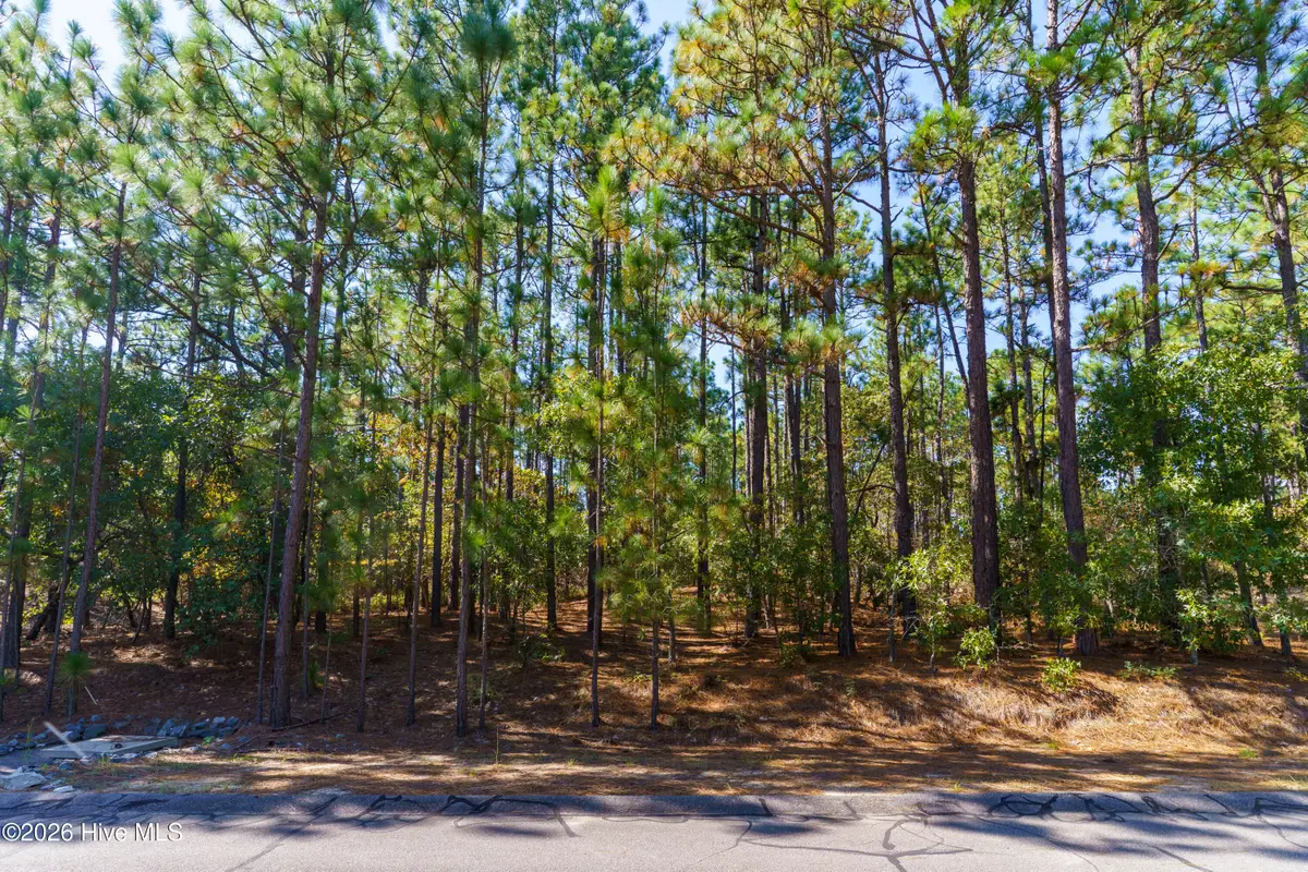 134 Vanore Road, West End, NC 27376 - #1