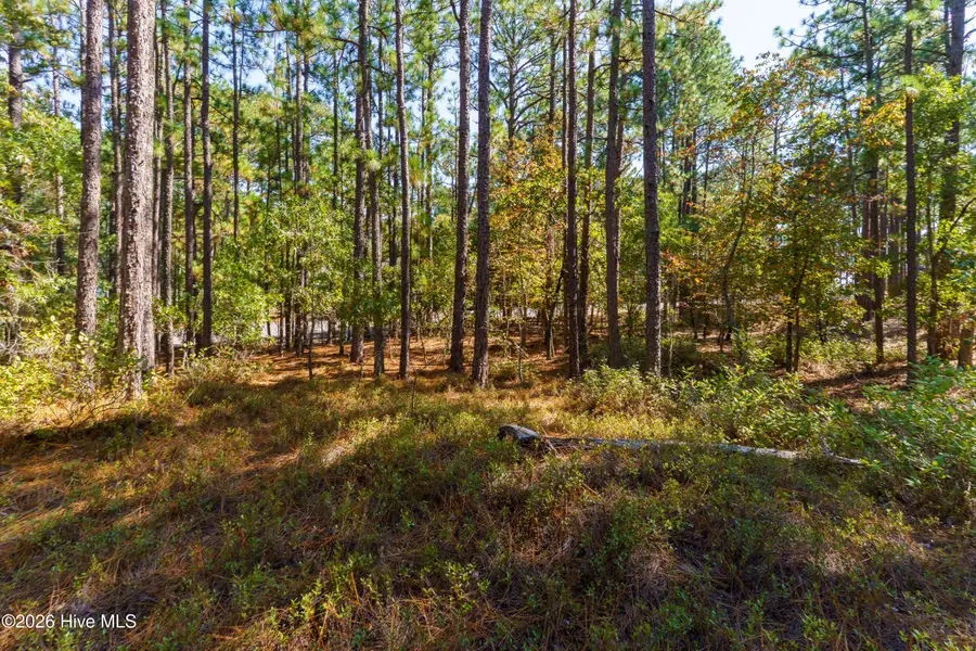 134 Vanore Road, West End, NC 27376 - #2