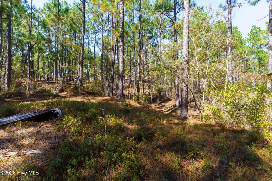134 Vanore Road, West End, NC 27376 - #3