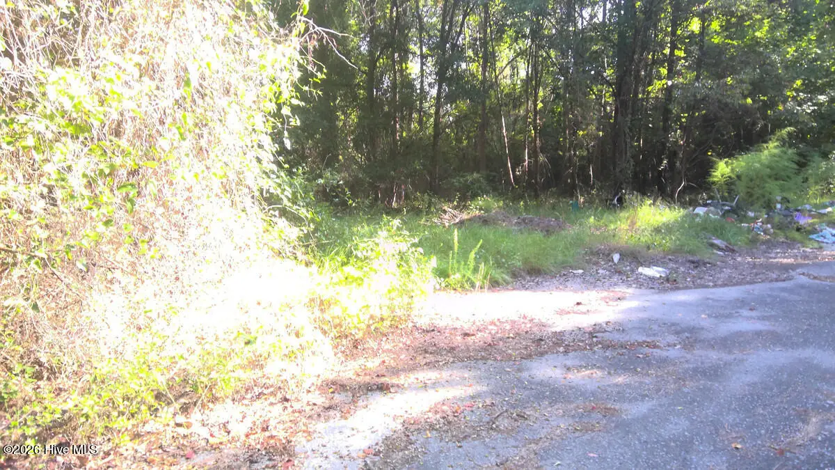 0.11 Ac Oak Street, Kinston, NC 28501 - #1