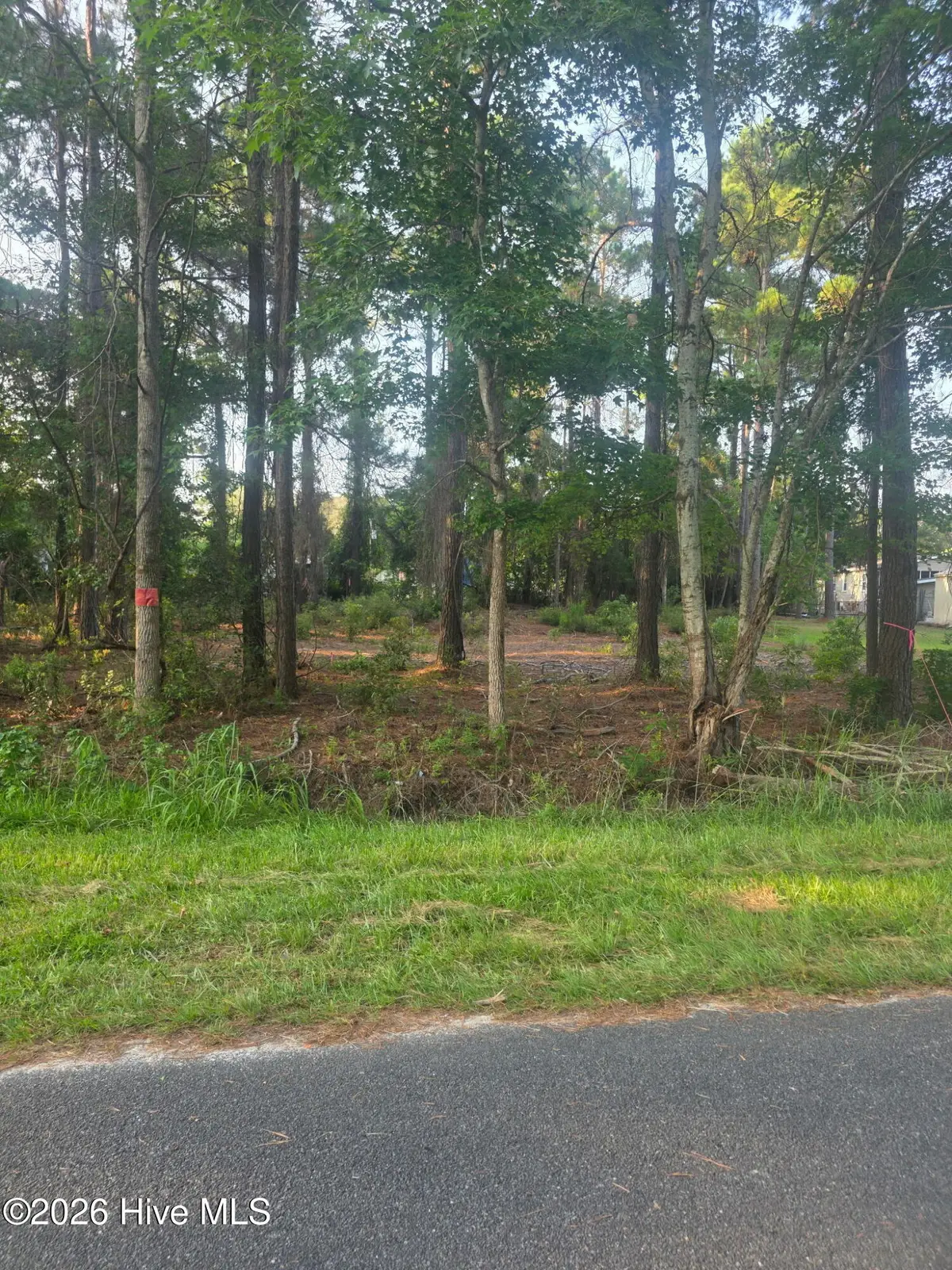 2945 James Street Sw, Supply, NC 28462 - #1