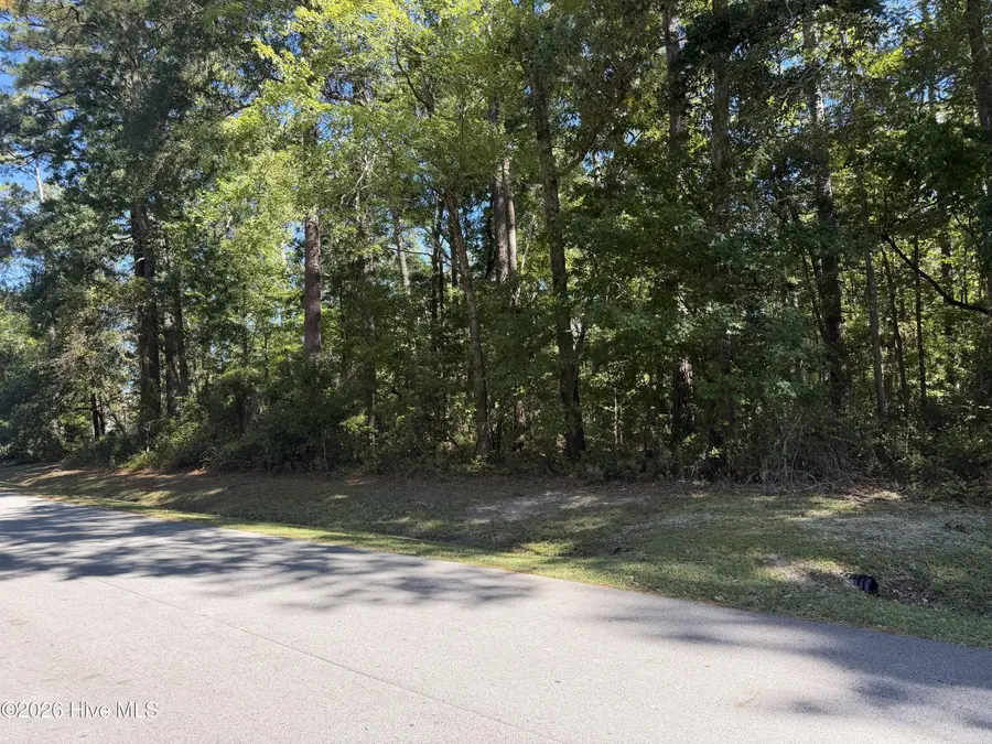 8 Brigantine Boulevard, Oriental, NC 28571 - #2