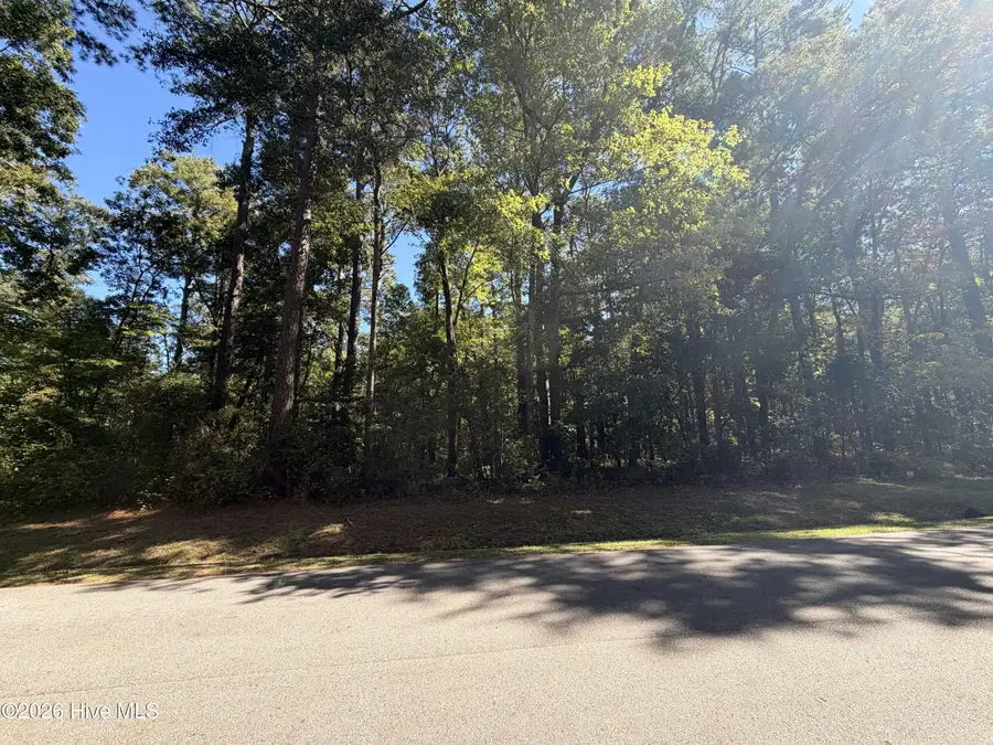 8 Brigantine Boulevard, Oriental, NC 28571 - #3