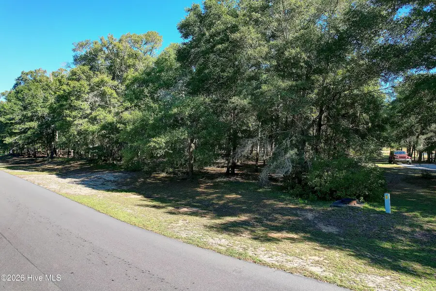 1928 Redfish Run Sw, Supply, NC 28462 - #2