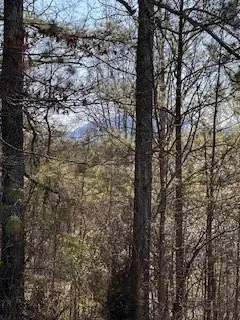9-11 Sugar Maple Road, Murphy, NC 28906 - #3