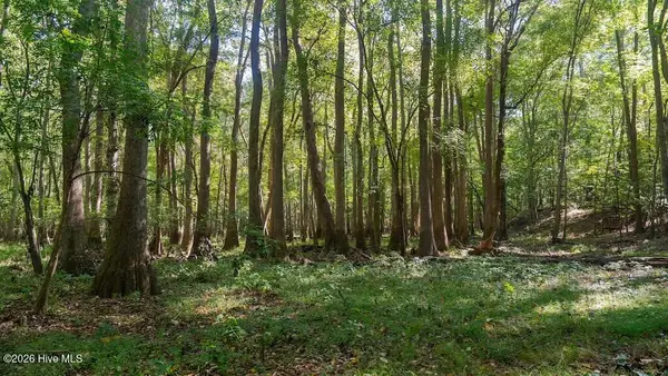 0 Spring Hill Road, Scotland Neck, NC 27874