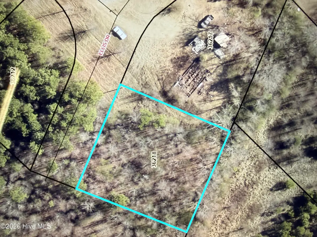 3845 Ellis Drive, Farmville, NC 27828 - #1