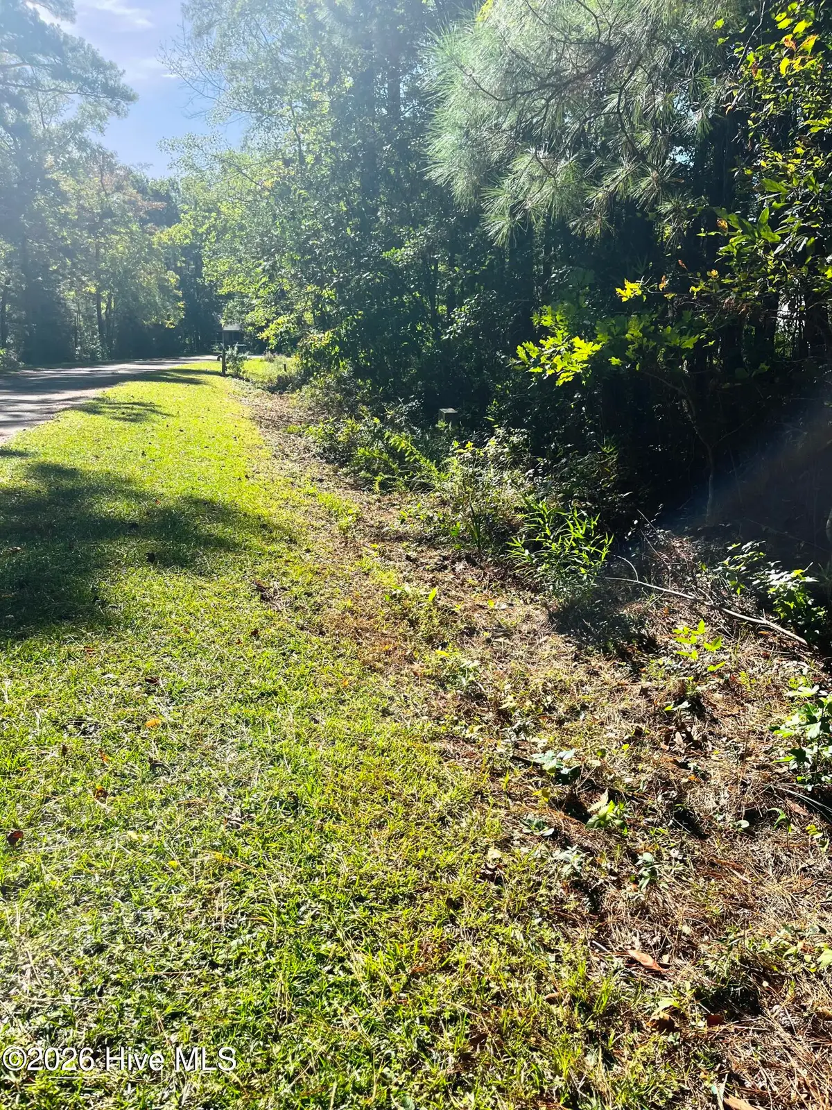 603 Peterson Place, Oriental, NC 28571 - #1