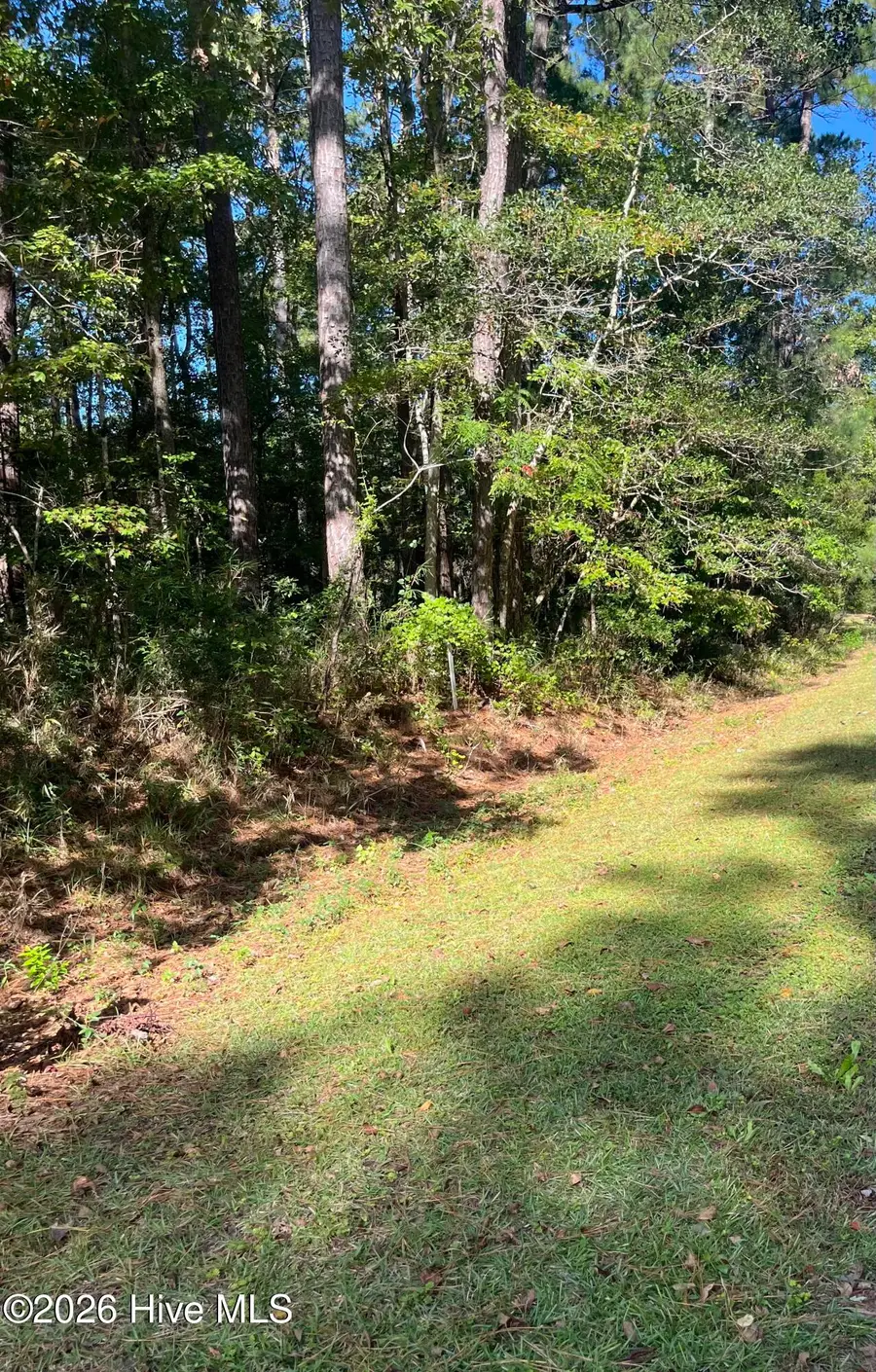 603 Peterson Place, Oriental, NC 28571 - #2