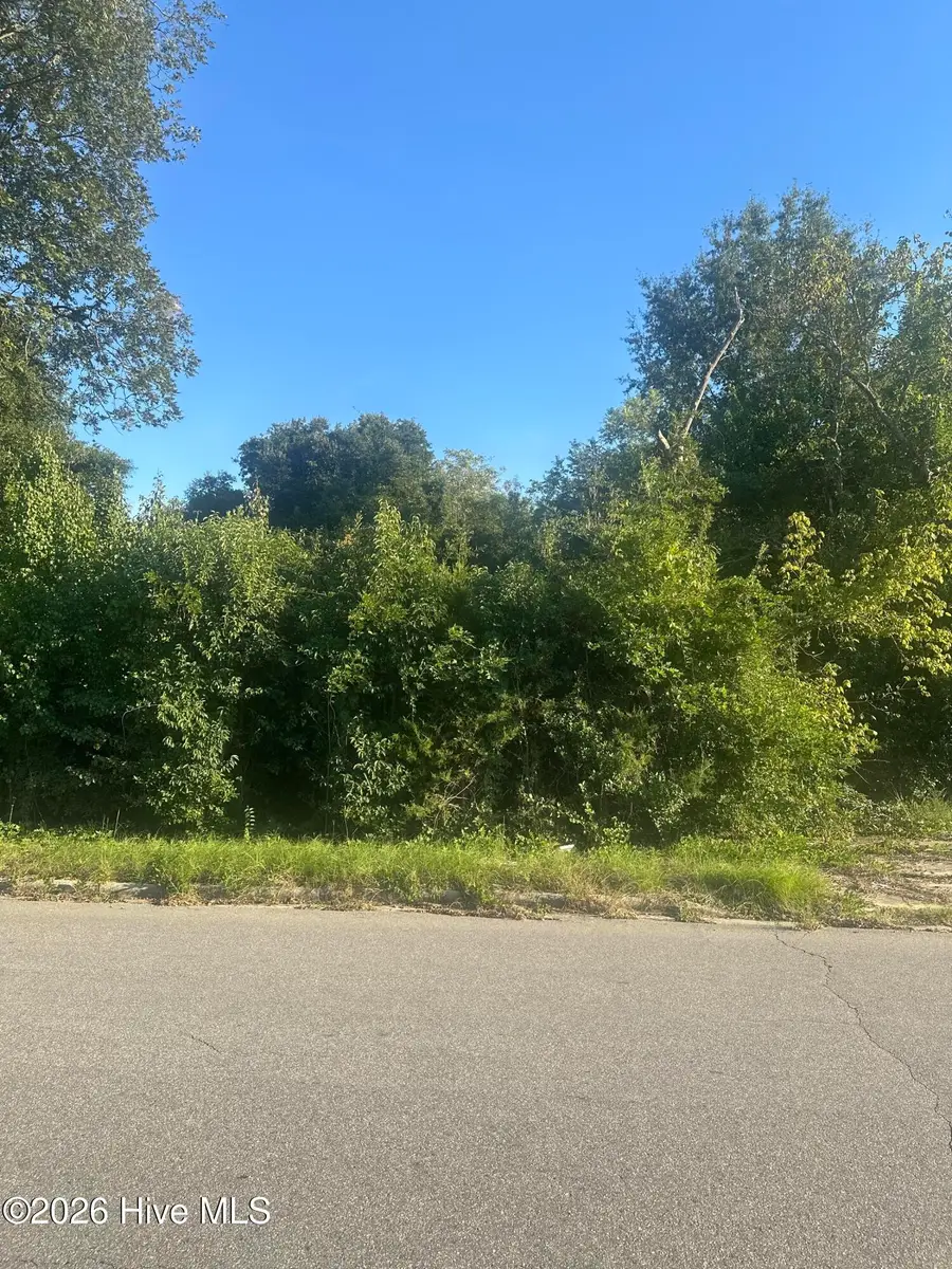 512 Carver Street, Laurinburg, NC 28352 - #2