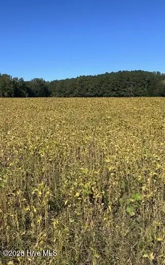 007 Nash County Line Road, Castalia, NC 27816 - #1