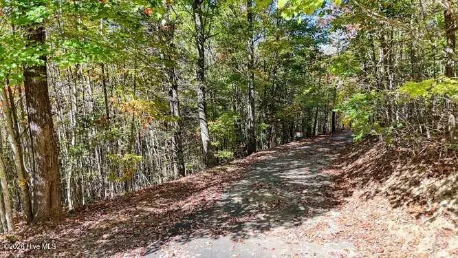 00 Lookout Point, Murphy, NC 28906 - #2