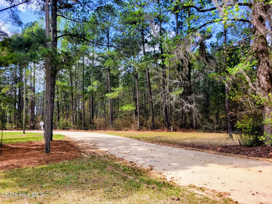 74 Woodlief Drive, Elizabethtown, NC 28337 - #2
