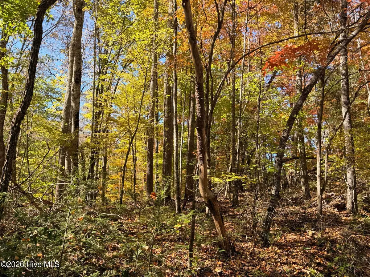 Lot# 6 Rhododendron Drive Drive, Topton, NC 28781 - #1