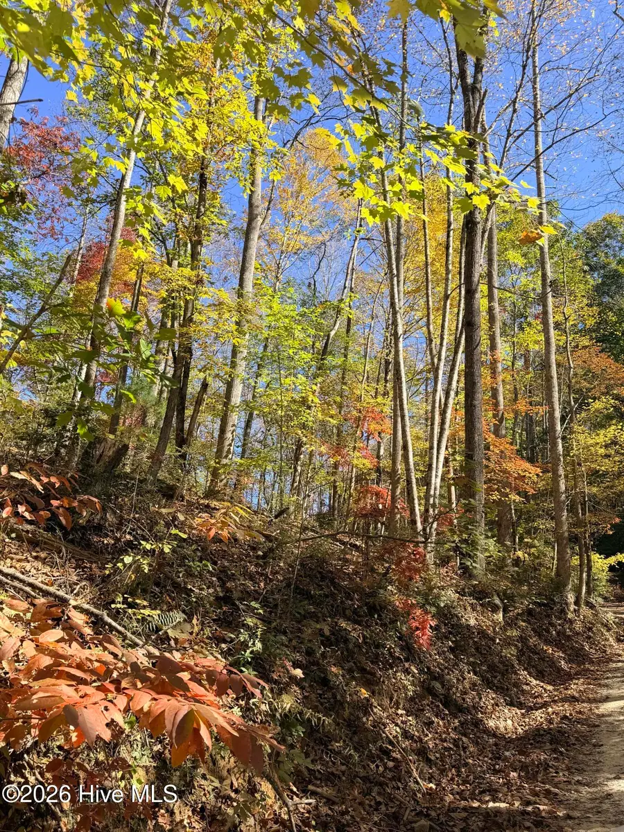 Lot# 6 Rhododendron Drive Drive, Topton, NC 28781 - #2