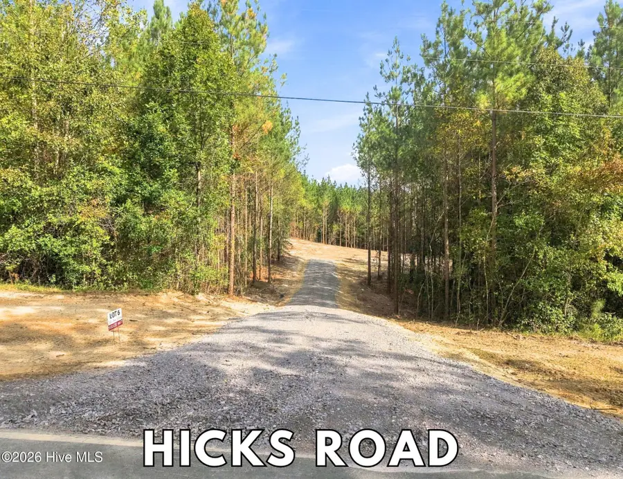 Lot 6 Capelsie Road, Candor, NC 27229 - #2
