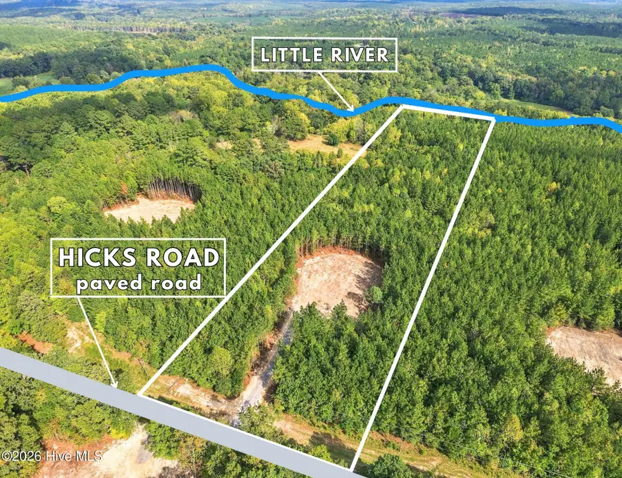 Lot 6 Capelsie Road, Candor, NC 27229 - #3