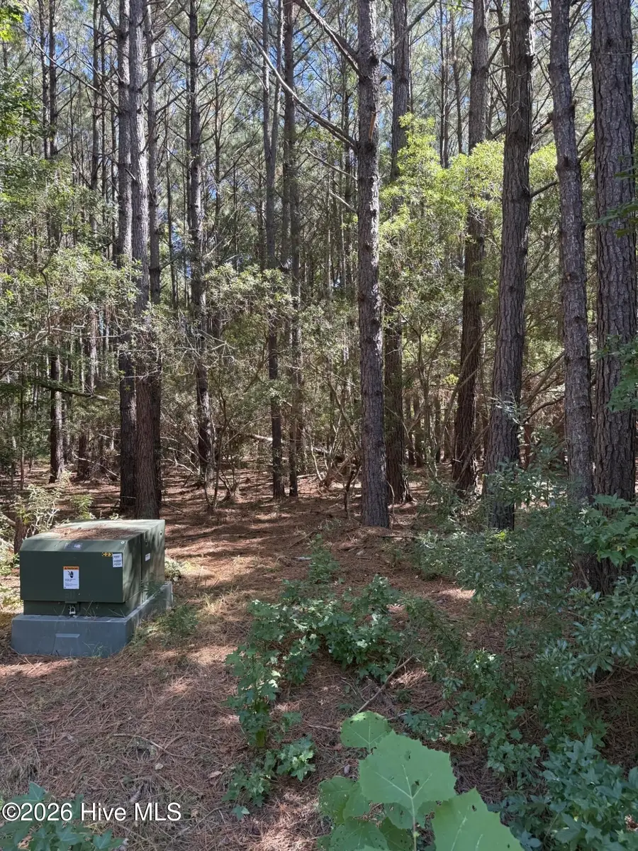 9215 Hart Drive, Oriental, NC 28571 - #3