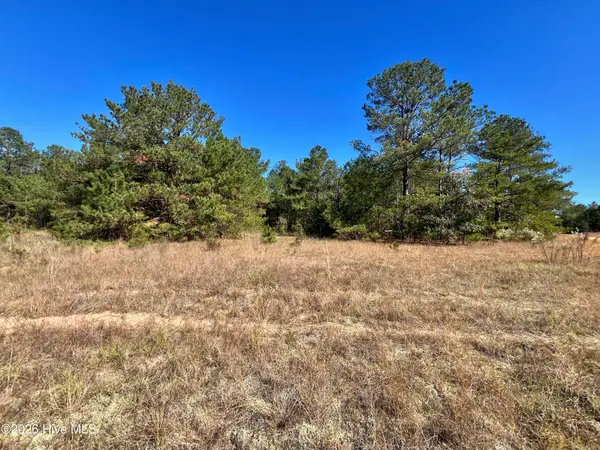 Lot 9 Jasper Davis Road, Avera, GA 30803