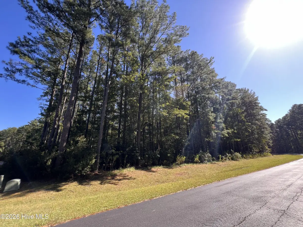 62 Arnetta Way S, Oriental, NC 28571 - #1