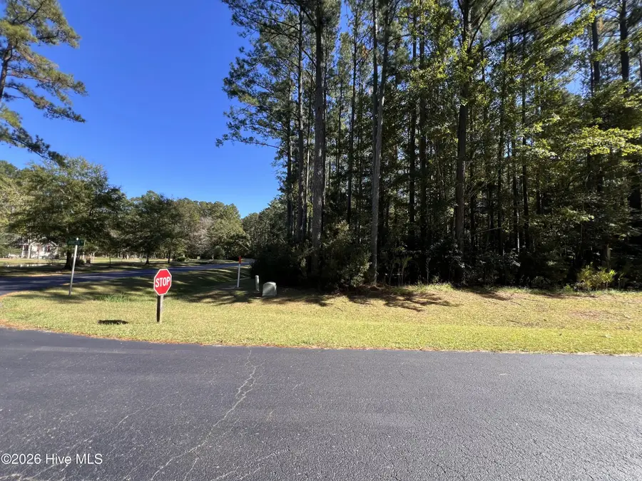 62 Arnetta Way S, Oriental, NC 28571 - #2