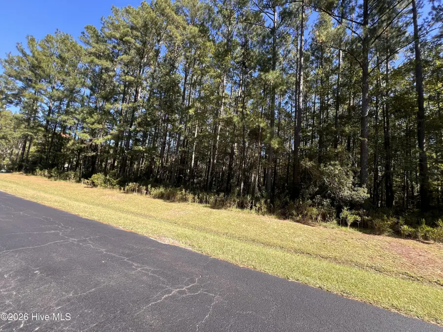 62 Arnetta Way S, Oriental, NC 28571 - #3