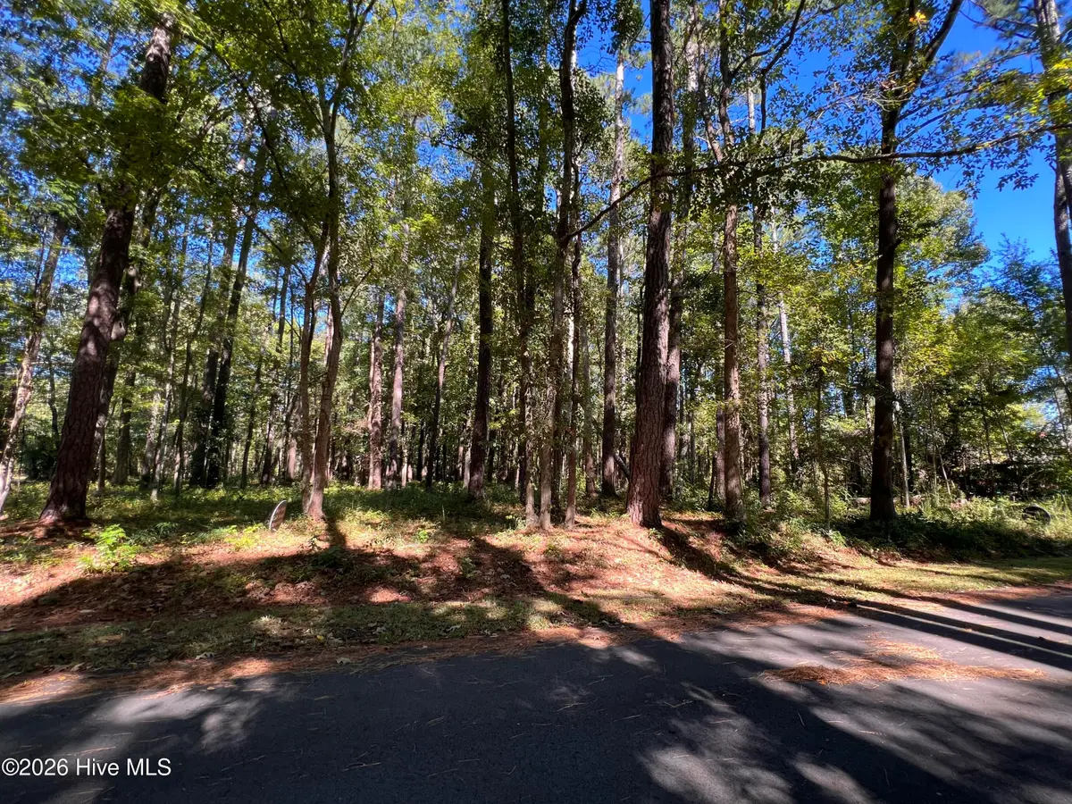2002 Yawl Place, Oriental, NC 28571 - #1