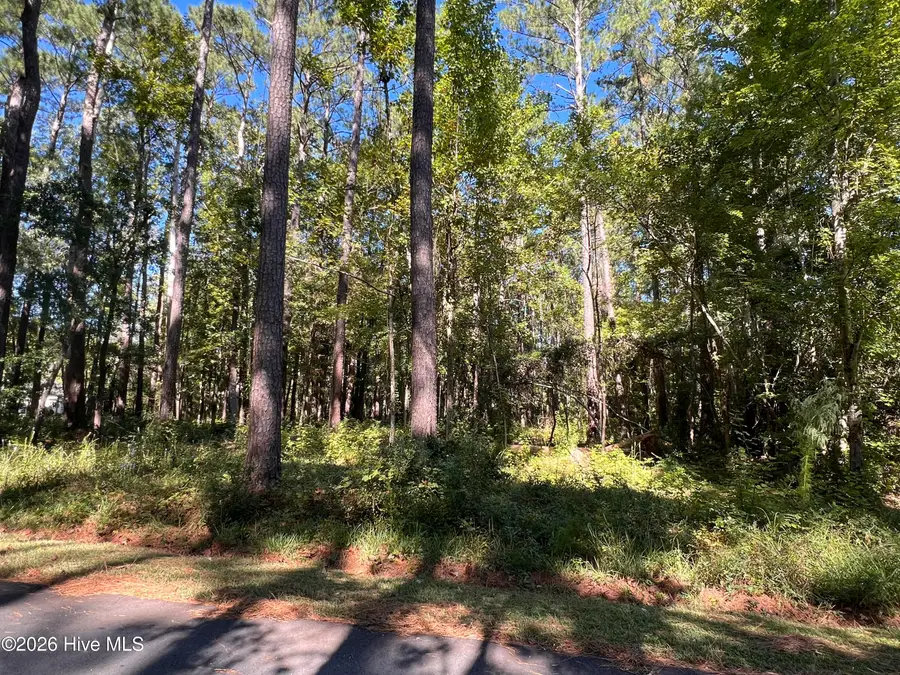 2002 Yawl Place, Oriental, NC 28571 - #2