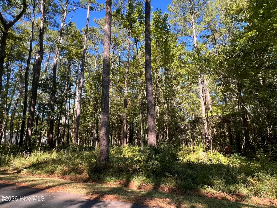 2002 Yawl Place, Oriental, NC 28571 - #3