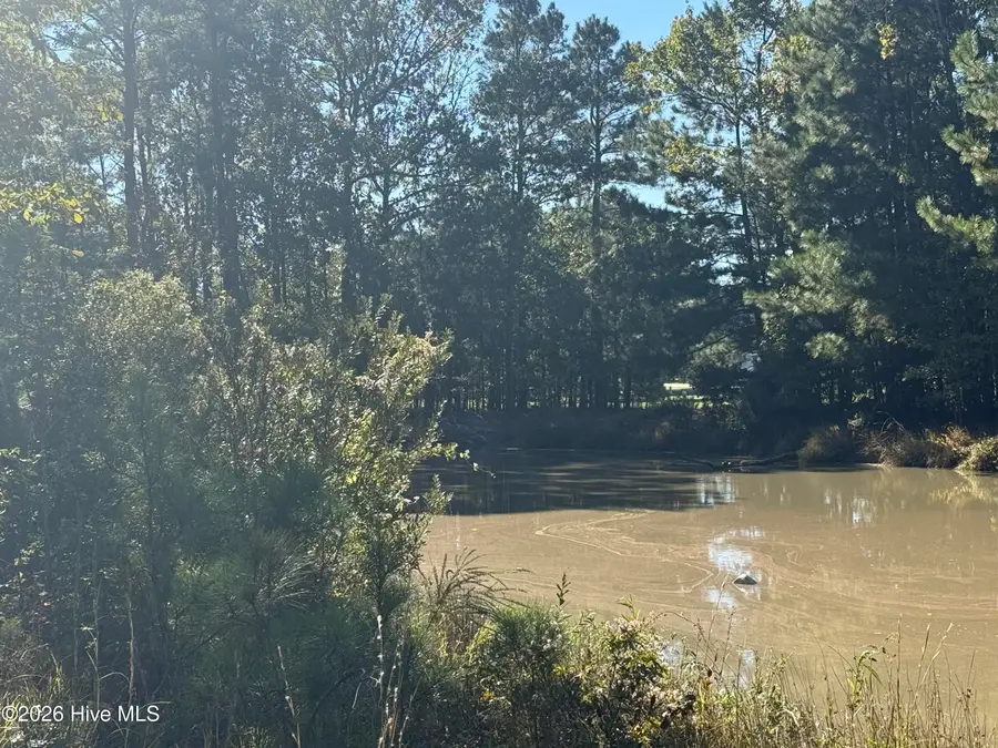66 Standard Bred Way, Hertford, NC 27944 - #2
