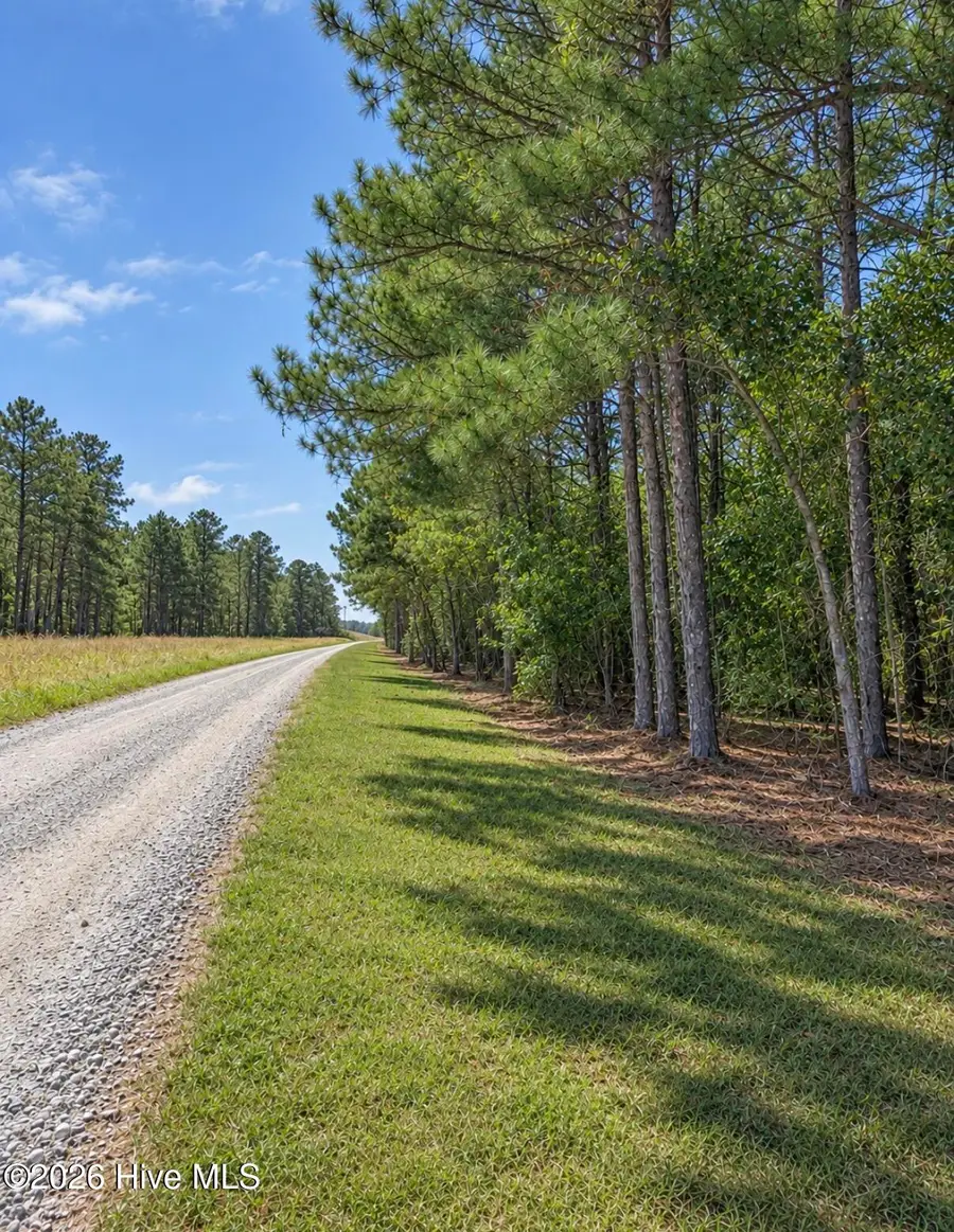 0 Default Street Lot 5, Scranton, NC 27875 - #2