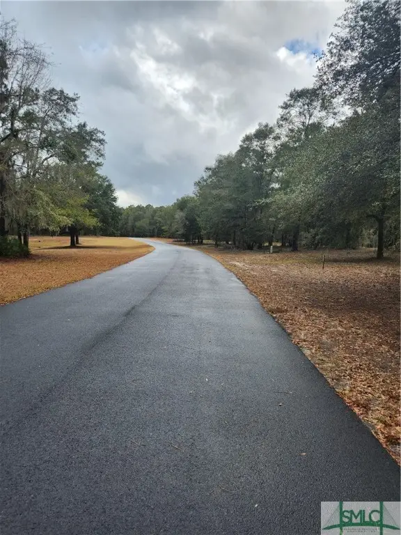 Rd 1 Coopers Point Street, Townsend, GA 31331 - Image #3