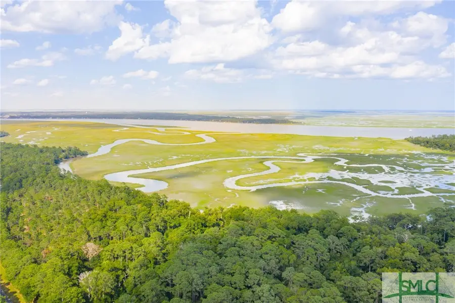 41 Gray Heron Retreat, Savannah, GA 31411 - Image #3